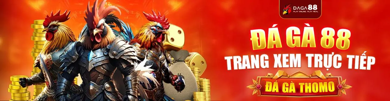 Đá Gà Trực Tuyến Hấp Dẫn tại nohu 28 link vào